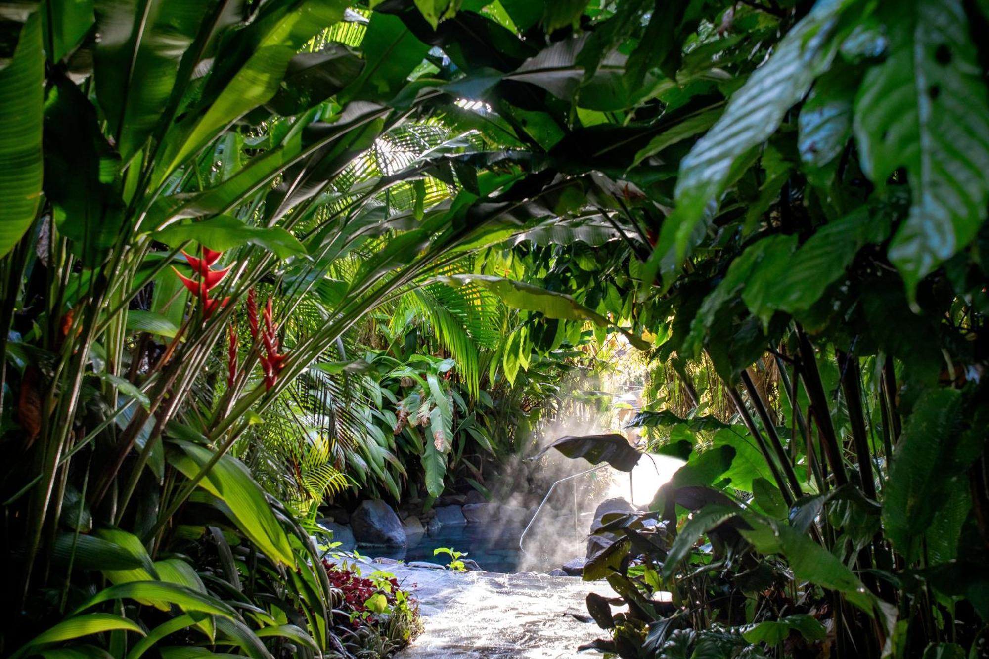 Arenal Manoa & Hot Springs 4*