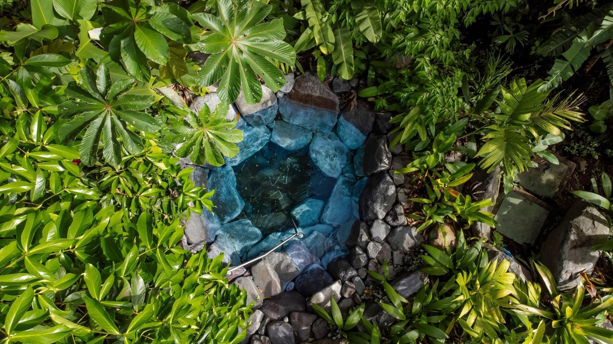 Hotel Arenal Manoa & Hot Springs