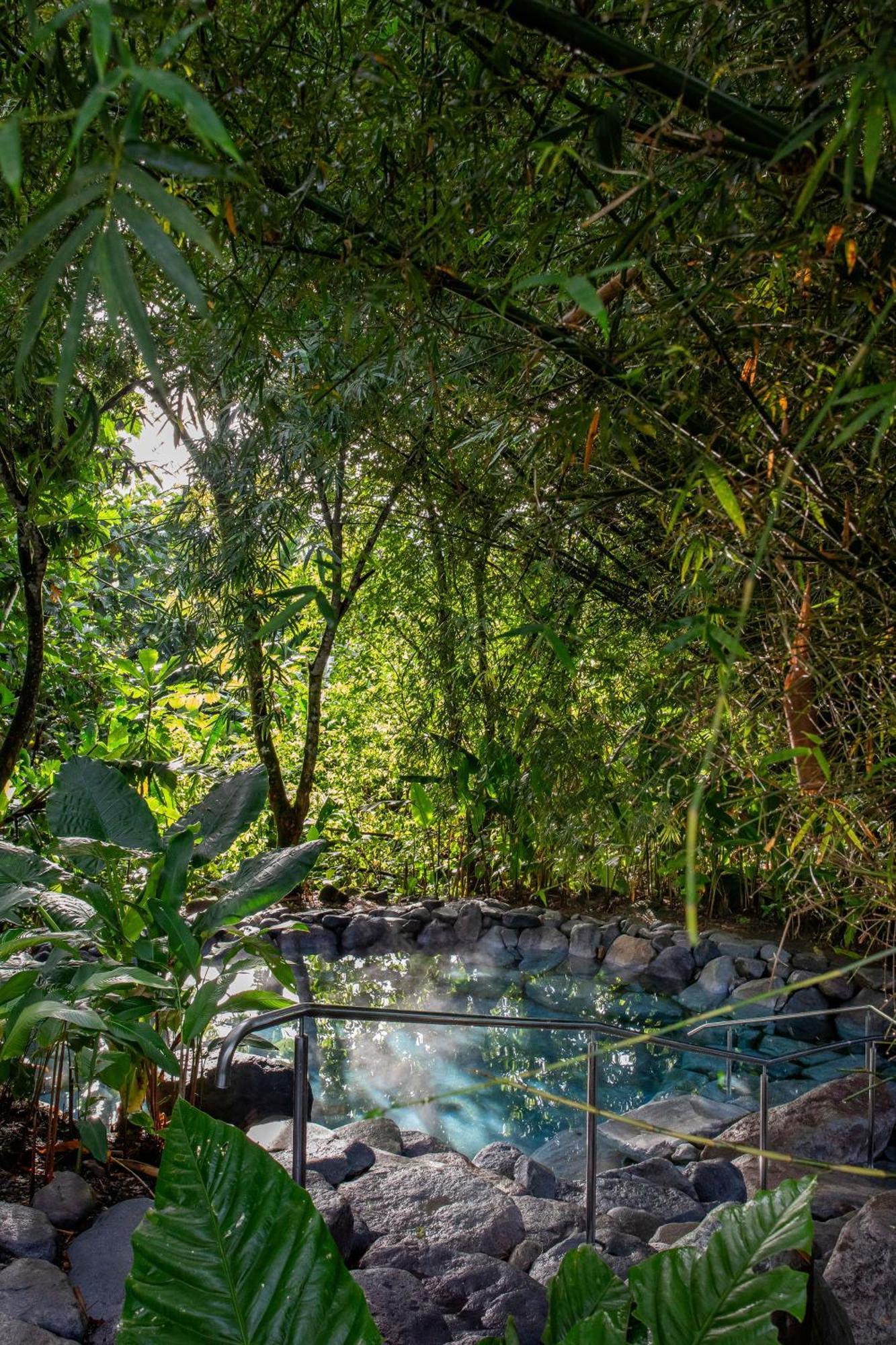 Arenal Manoa & Hot Springs Hotel La Fortuna