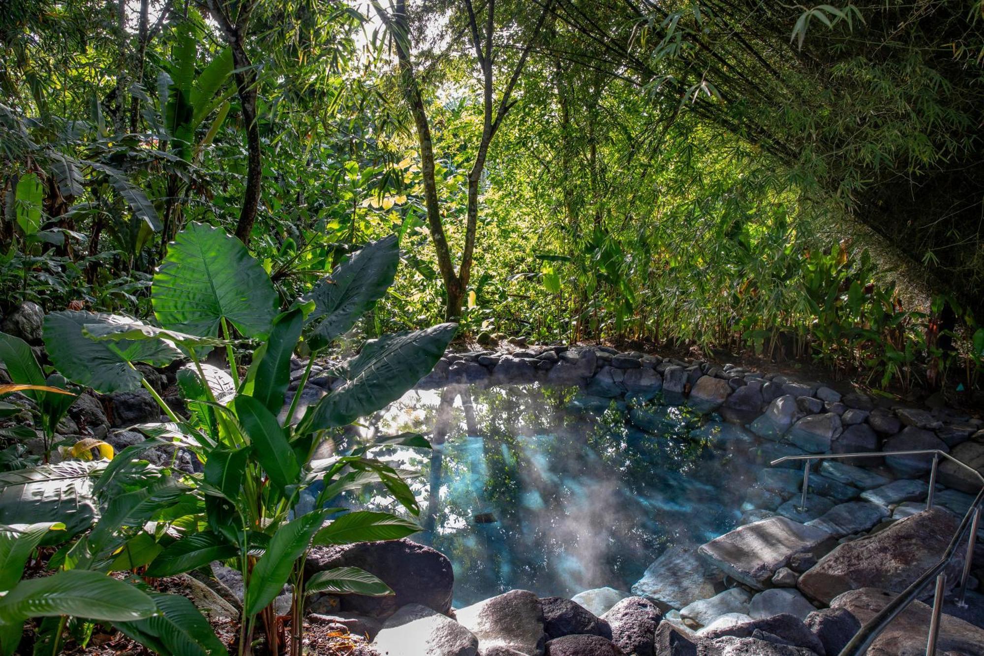 Arenal Manoa & Hot Springs 4* La Fortuna