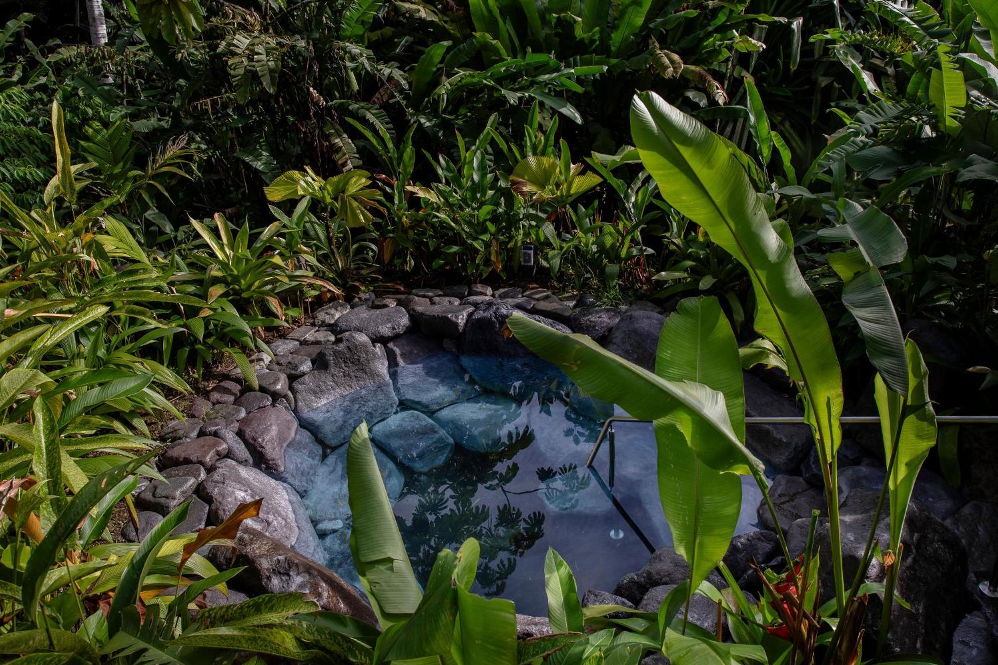 Hotel Arenal Manoa & Hot Springs