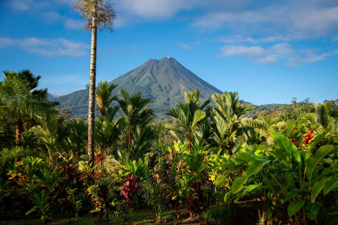 Hotel Arenal Manoa & Hot Springs
